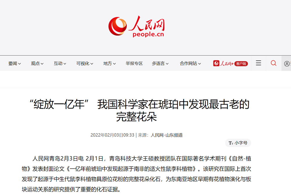 王硕教授团队科研成果引发国内外媒体关注